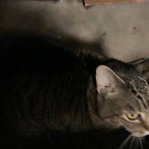 Meet your Posher, Janet